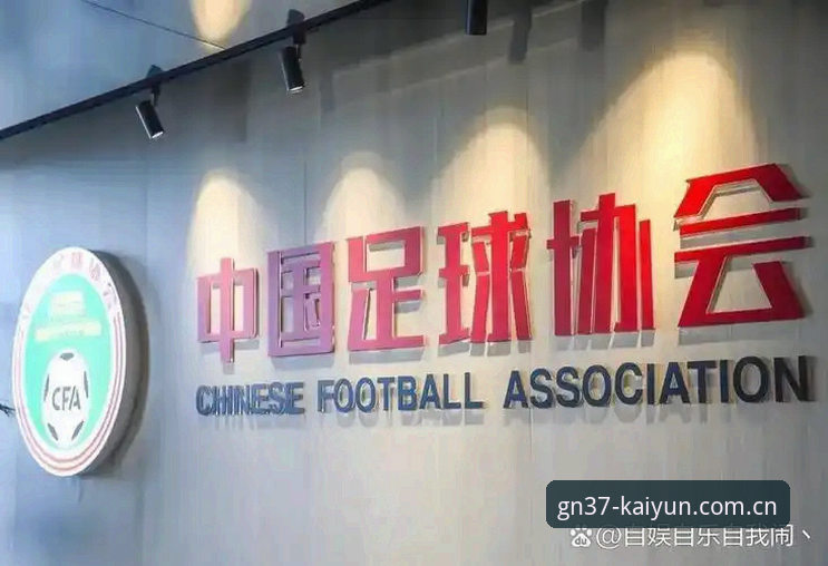 凯运体育职业联赛最新版 足协再亮剑,禁足名单背后藏着哪些足球生态的深层问题?
